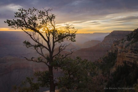 Grand Canyon