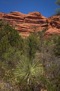 Fay Canyon