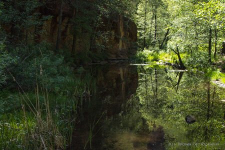 West Fork Trail