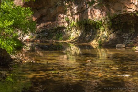 West Fork Trail