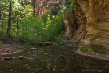 West Fork Trail