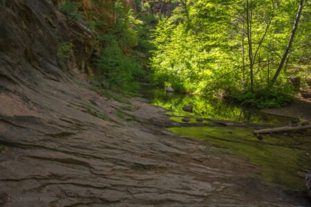 West Fork Trail