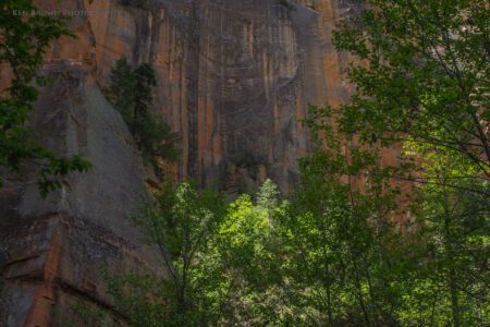 West Fork Trail