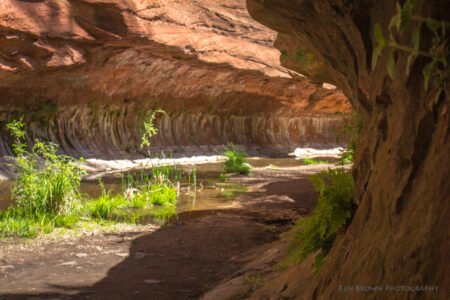 West Fork Trail