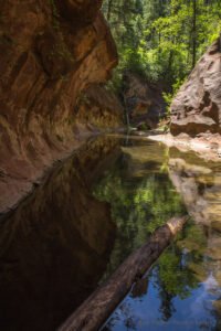 West Fork Trail