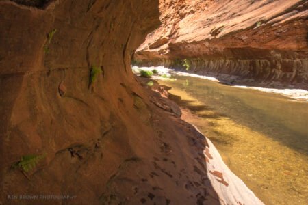 West Fork Trail