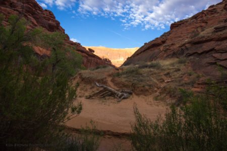 Coyote Gulch