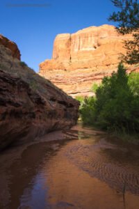Coyote Gulch