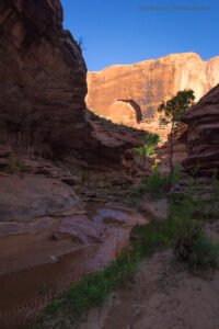 Coyote Gulch