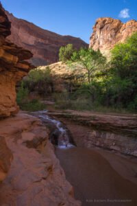 Coyote Gulch
