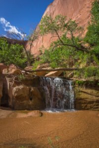 Coyote Gulch