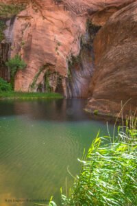 Coyote Gulch
