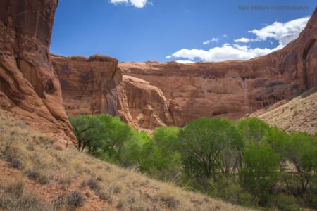 Coyote Gulch