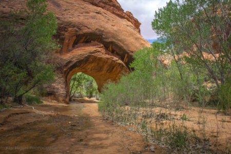 Coyote Gulch