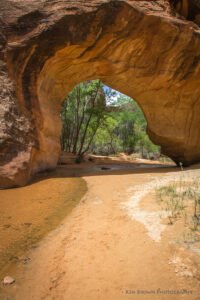 Coyote Gulch