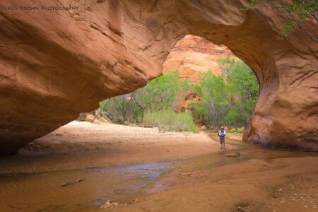 Coyote Gulch