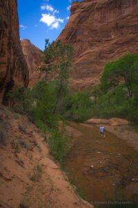 Coyote Gulch