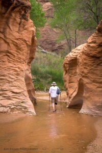 Coyote Gulch