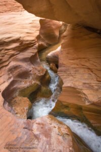 Coyote Gulch