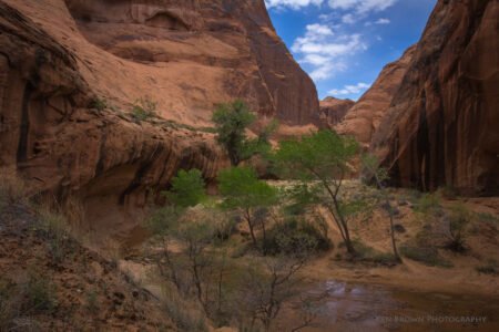 Coyote Gulch
