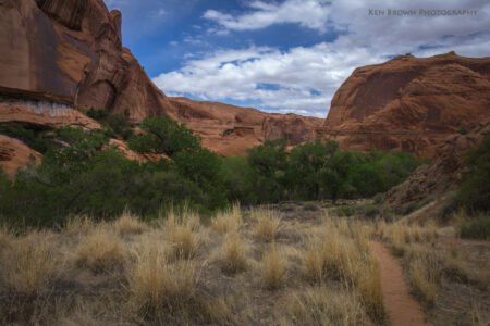 Coyote Gulch