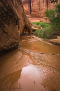 Coyote Gulch