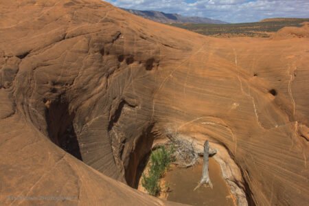 Coyote Gulch