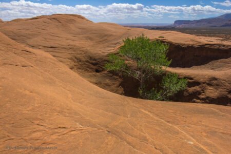 Coyote Gulch