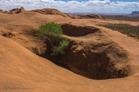 Coyote Gulch