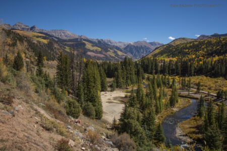 San Juans