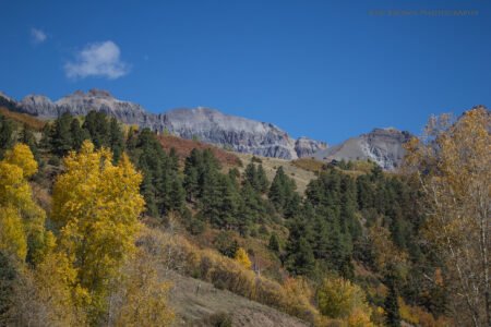 San Juans