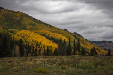 San Juans