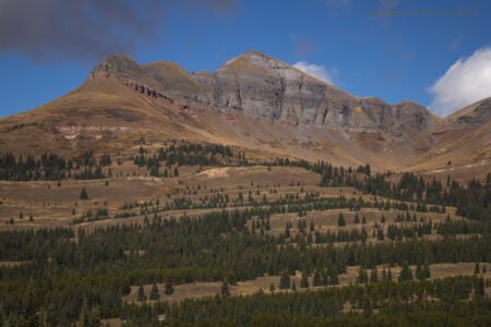 San Juans