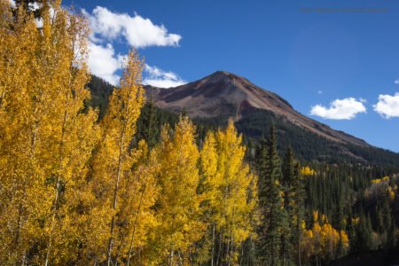 San Juans