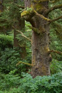 Cape Disappointment State Park, Oregon