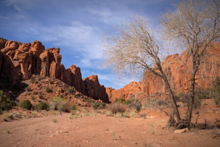Wolverine Canyon