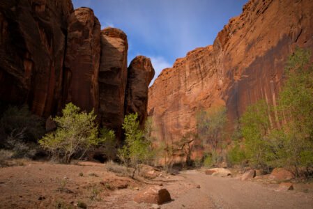 Wolverine Canyon
