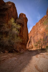 Wolverine Canyon