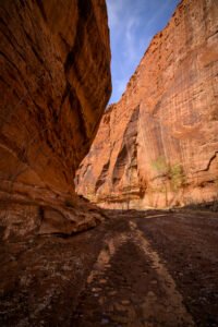 Wolverine Canyon