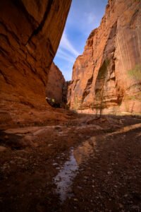 Wolverine Canyon