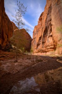 Wolverine Canyon