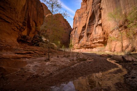 Wolverine Canyon
