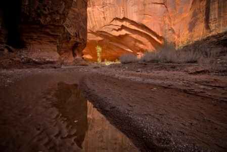 Wolverine Canyon