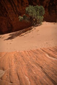 Wolverine Canyon