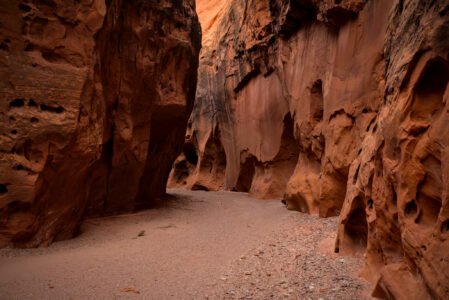 Wolverine Canyon