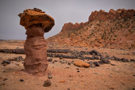 Wolverine Canyon