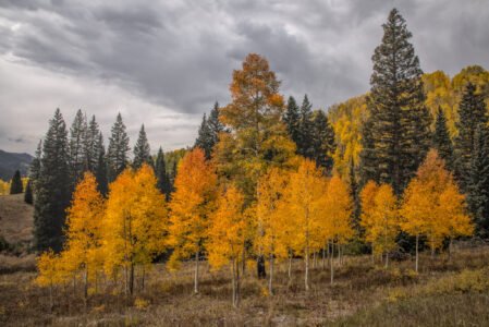 Kebler Pass, Colorado