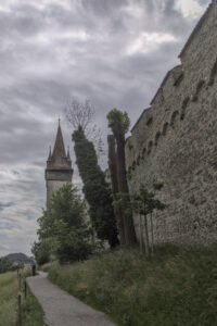 Lucerne
