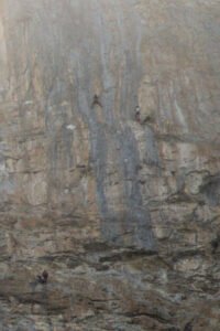 Eiger Trail