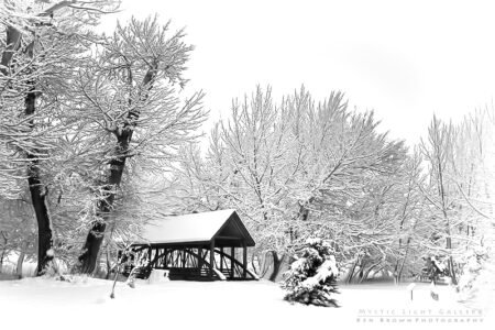 Winter Solstice